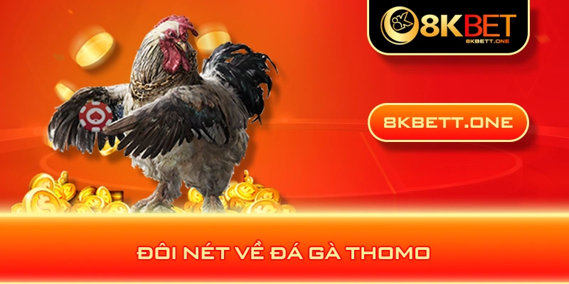 Đôi nét về đá gà Thomo